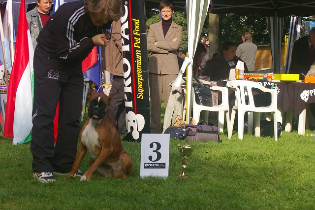 www.boxer-show.eu
