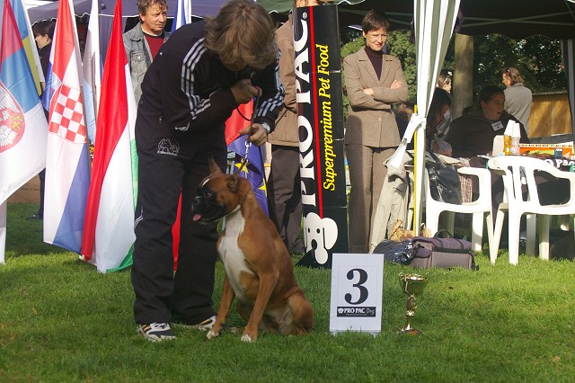www.boxer-show.eu