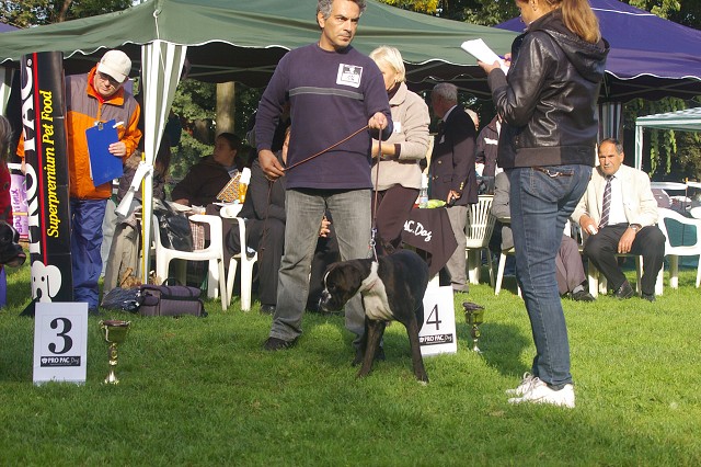 www.boxer-show.eu