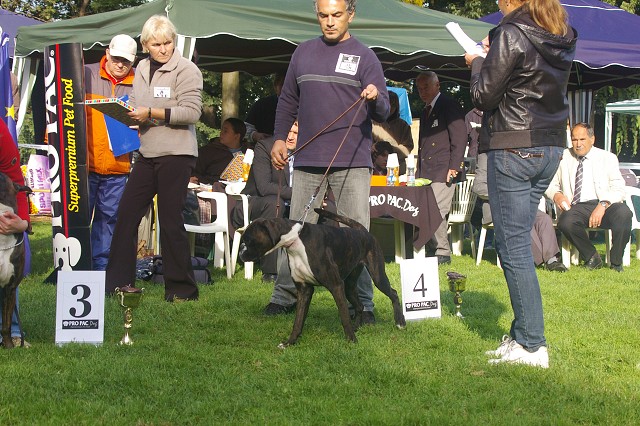 www.boxer-show.eu
