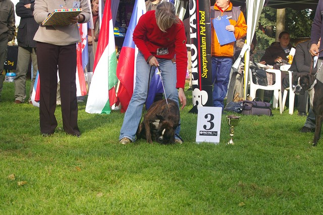 www.boxer-show.eu
