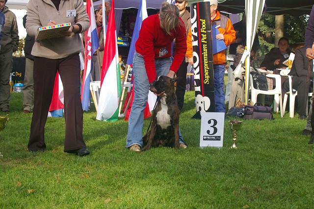 www.boxer-show.eu