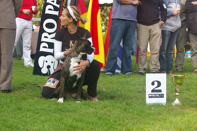 www.boxer-show.eu