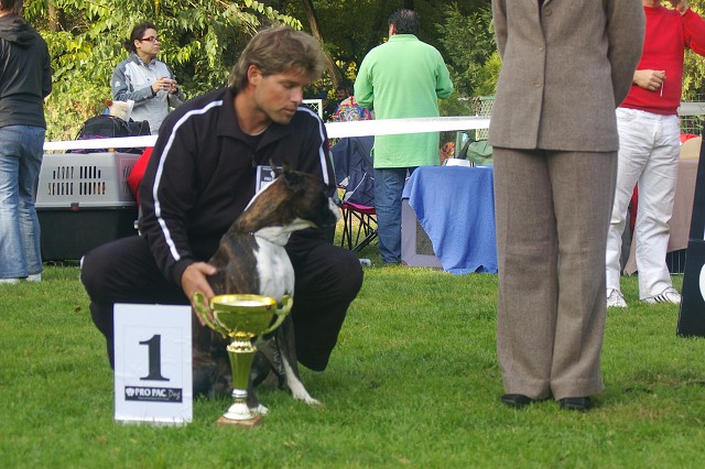 www.boxer-show.eu