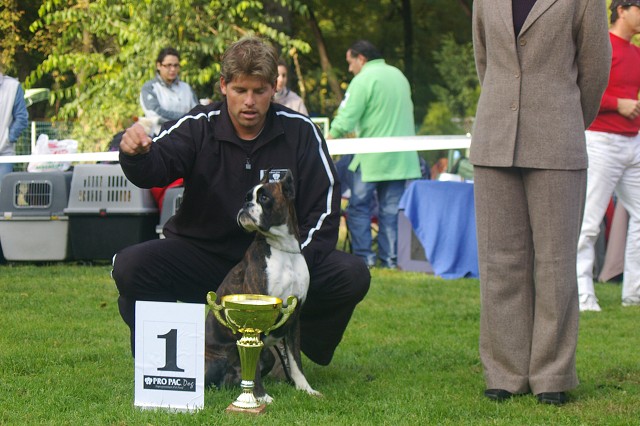 www.boxer-show.eu