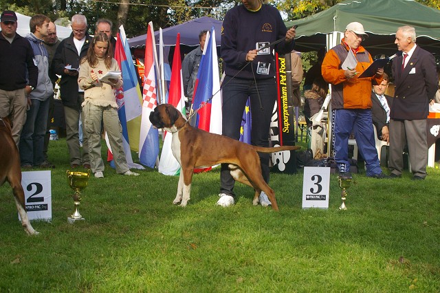 www.boxer-show.eu