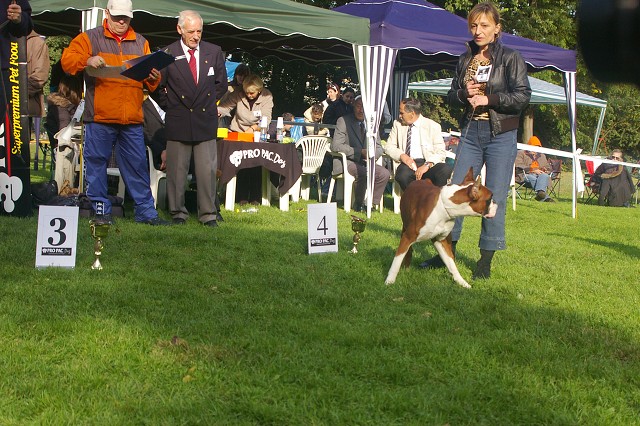 www.boxer-show.eu