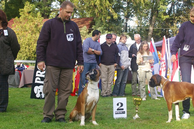 www.boxer-show.eu
