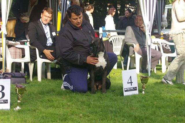 www.boxer-show.eu