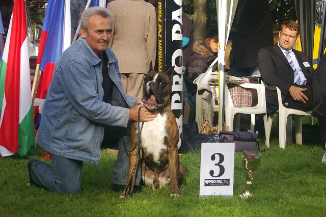 www.boxer-show.eu