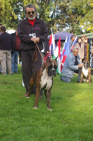 www.boxer-show.eu