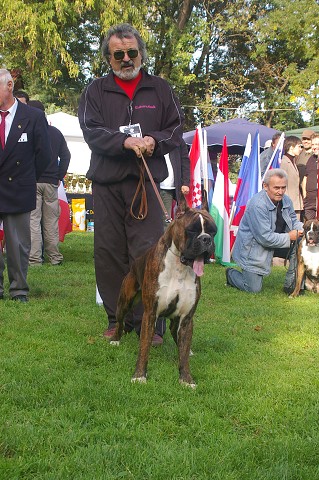 www.boxer-show.eu