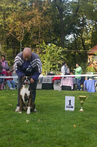 www.boxer-show.eu