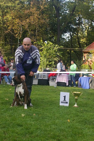 www.boxer-show.eu