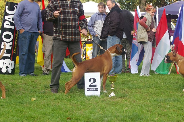 www.boxer-show.eu