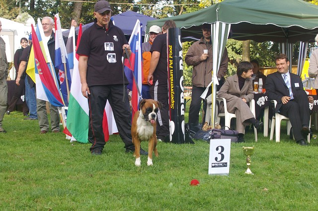 www.boxer-show.eu
