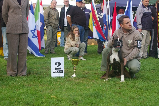 www.boxer-show.eu