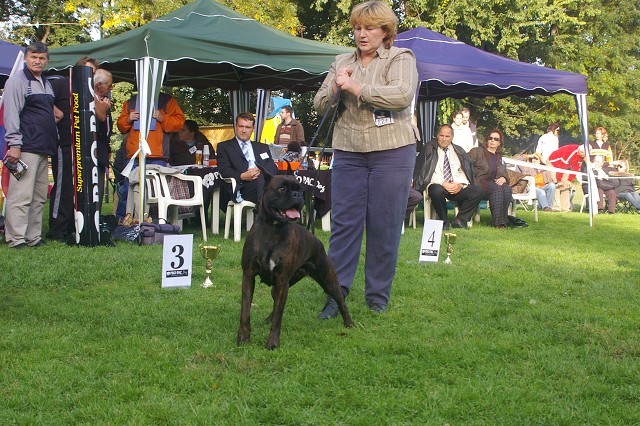 www.boxer-show.eu