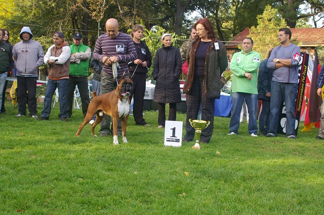 www.boxer-show.eu