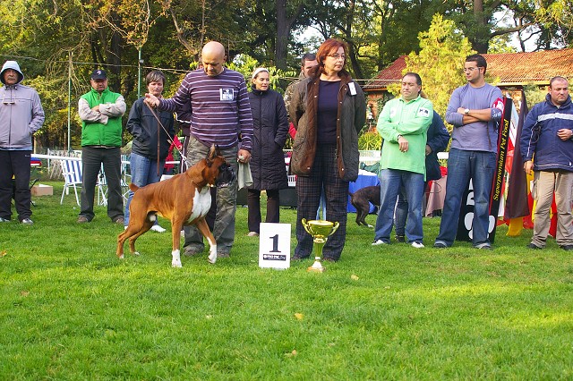 www.boxer-show.eu