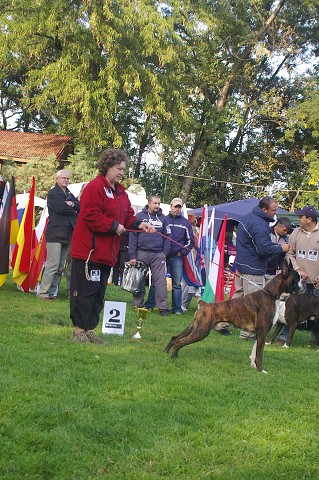 www.boxer-show.eu