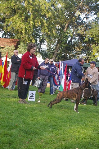 www.boxer-show.eu