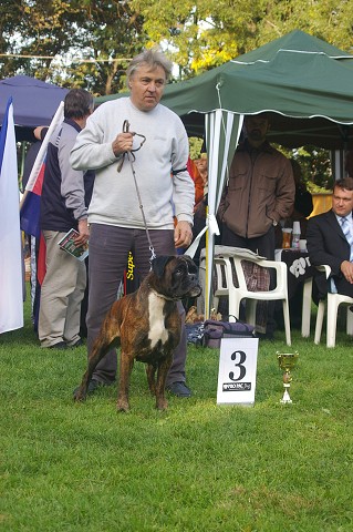 www.boxer-show.eu