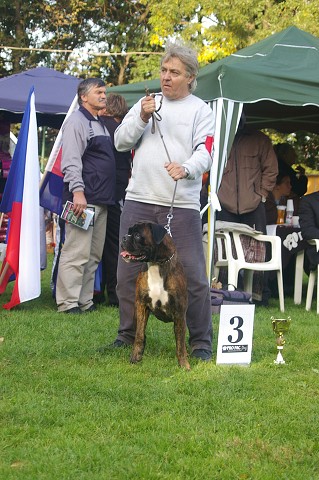 www.boxer-show.eu