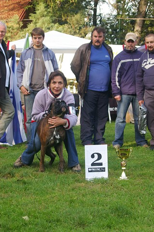 www.boxer-show.eu