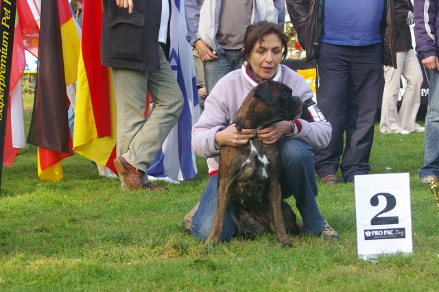 www.boxer-show.eu