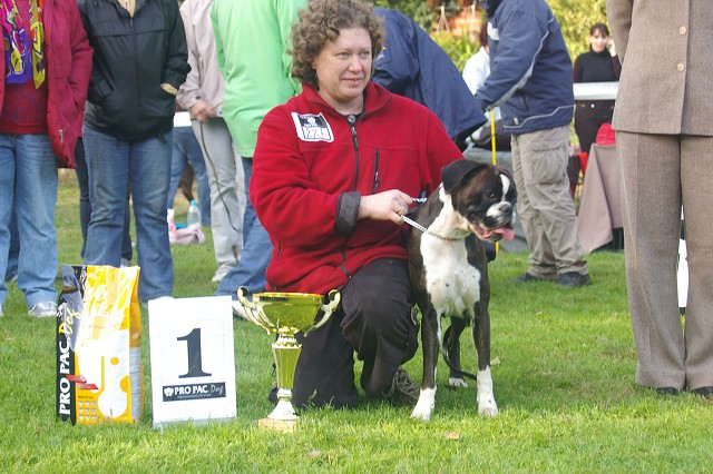 www.boxer-show.eu
