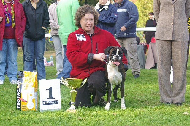 www.boxer-show.eu