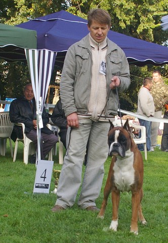 www.boxer-show.eu