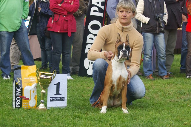 www.boxer-show.eu