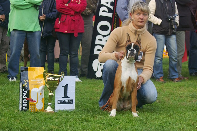 www.boxer-show.eu