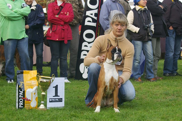 www.boxer-show.eu