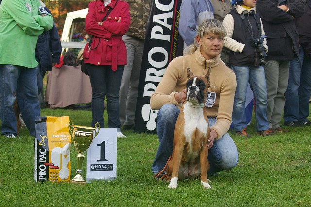 www.boxer-show.eu