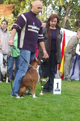 www.boxer-show.eu