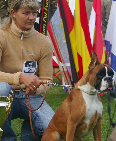 www.boxer-show.eu