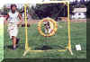 Agility cup