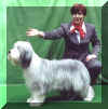 Chovatelsky klub Pedigree