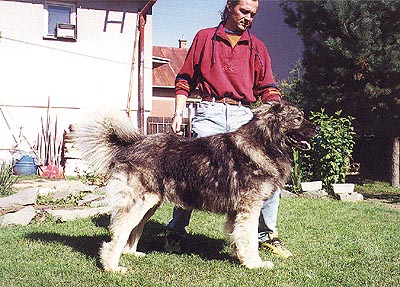 ch_kl10.jpg (59999 bytes)