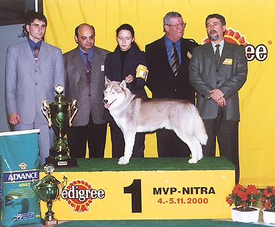 nitra_vitaz05.jpg (46492 bytes)