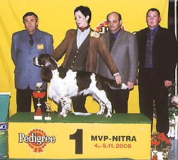 nitra_vitaz08.jpg (28670 bytes)