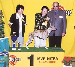 nitra_vitaz10.jpg (29487 bytes)