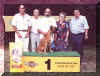 Kynologicka revue Open