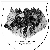 bo.gif