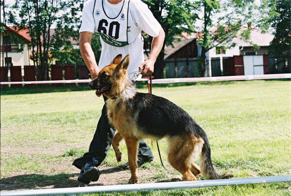 Kynologická revue - www.dogsk.sk
