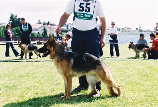 Kynologická revue - www.dogsk.sk