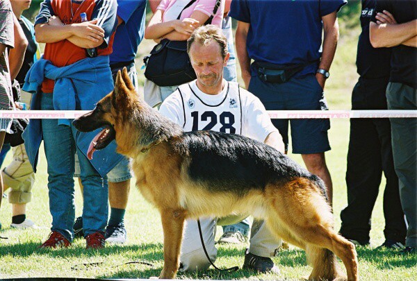 Kynologická revue - www.dogsk.sk